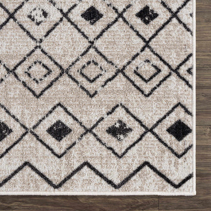 Joppatowne Washable Area Rug - Clearance