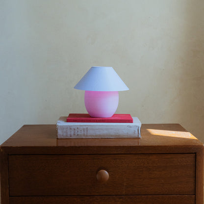 Scoop Lamp