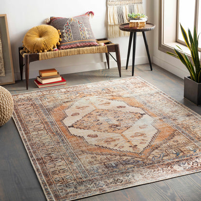 Arncliffe Washable Area Rug - Promo - Clearance